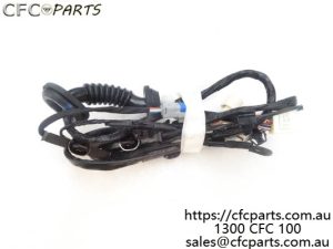 P1374140901A0 Right rear door wire harness assembly