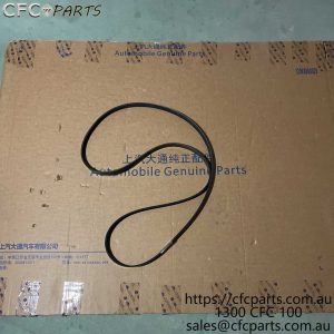 C000015251-10090344 LDV G10  Alternator Belt