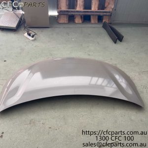 C00025067-4100 LDV G10  Bonnet