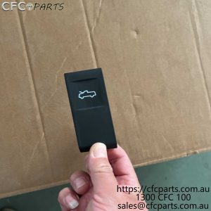 C00049195 LDV Ute  Bonnet Lock Release Handle