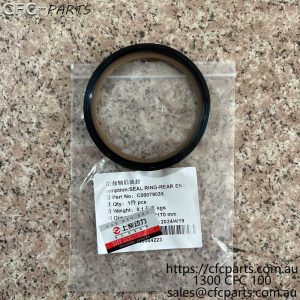 C00079036 LDV V80  Rear Crankshaft Oil Seal China VI