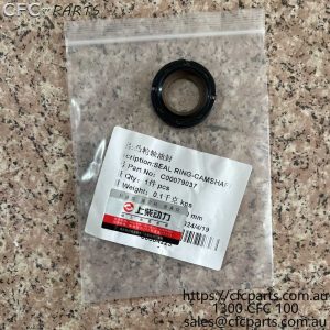 C00079037 LDV D20  Camshaft Oil Seal
