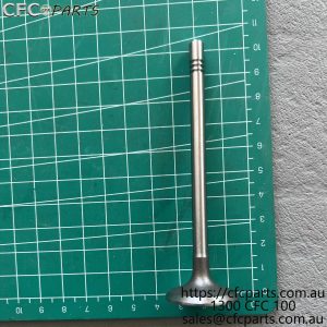 C00111120 LDV D20 Intake Valve China VI
