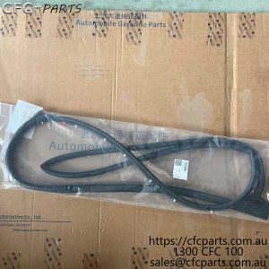 C00130949 LDV SEA Front Side Door Seal