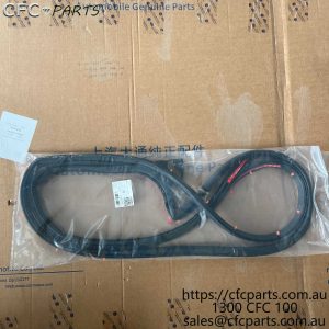 C00130950 LDV SEA Front Side Door Seal