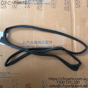 C00130951 LDV SEA Rear Side Door Seal