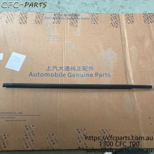 C00202897 LDV Ute Front Door Outer Belt Moulding